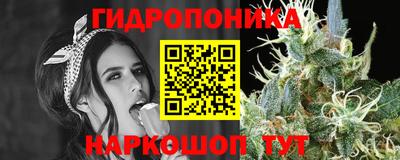 прущие грибы Коммунар