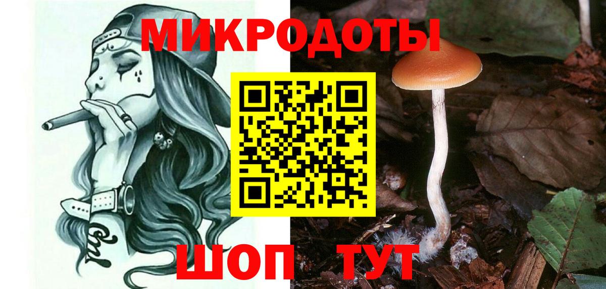 Клинцы  Псилоцибиновые грибы MAGIC MUSHROOMS  Вход с VPN 